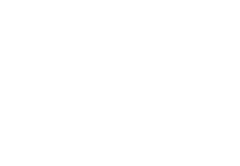 GoBox Delivery